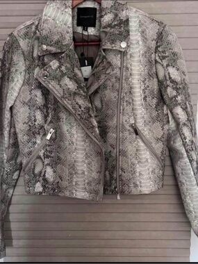Dynamite Women's Snake-Print Biker Jacket in Gray
